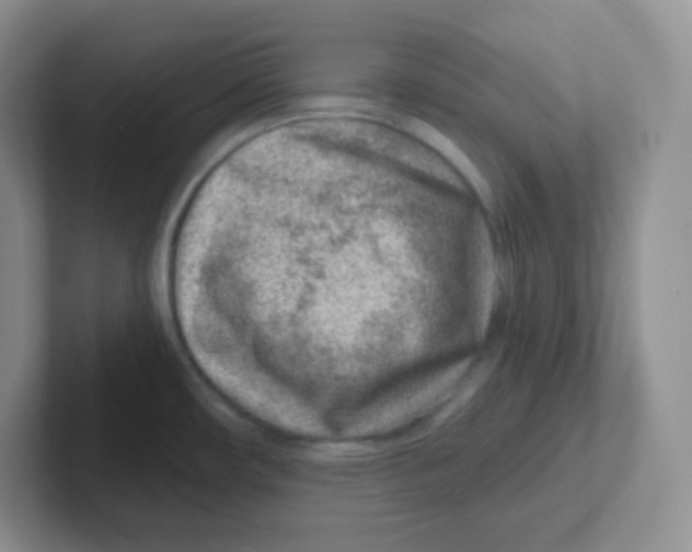 X0000101651482200808071104