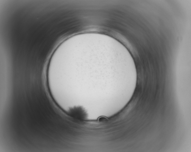 X0000101651483200808071104