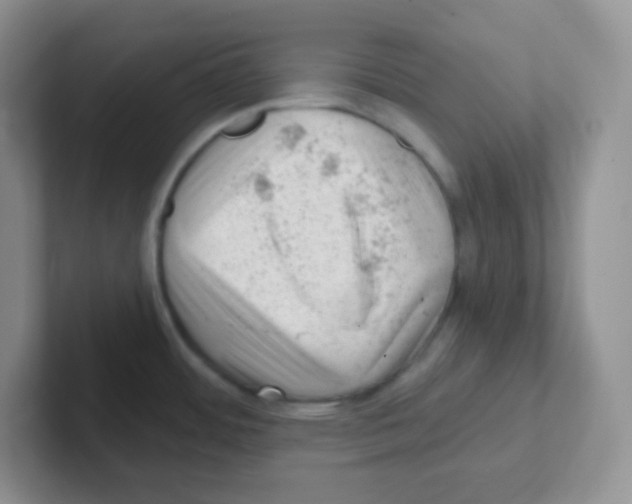 X0000101651484200808071104