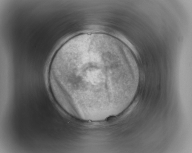 X0000101651485200808071104