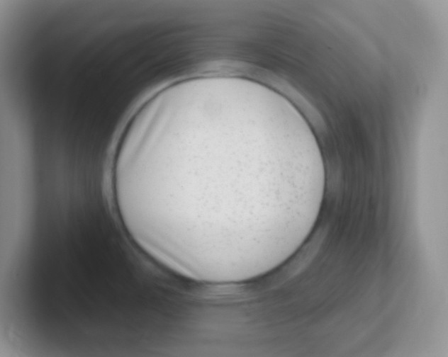 X0000101651486200808071104