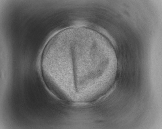 X0000101651487200808071104