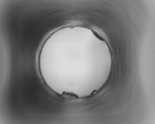 X0000101651488200808071104