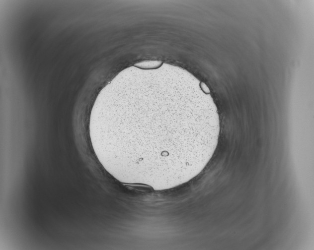 X0000101651489200808071103