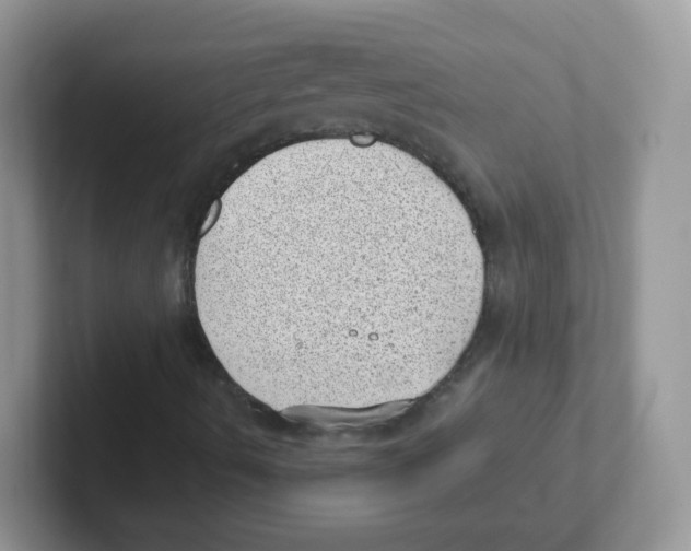 X0000101651490200808071103