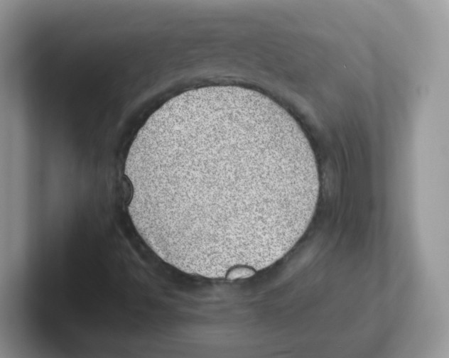 X0000101651494200808071103