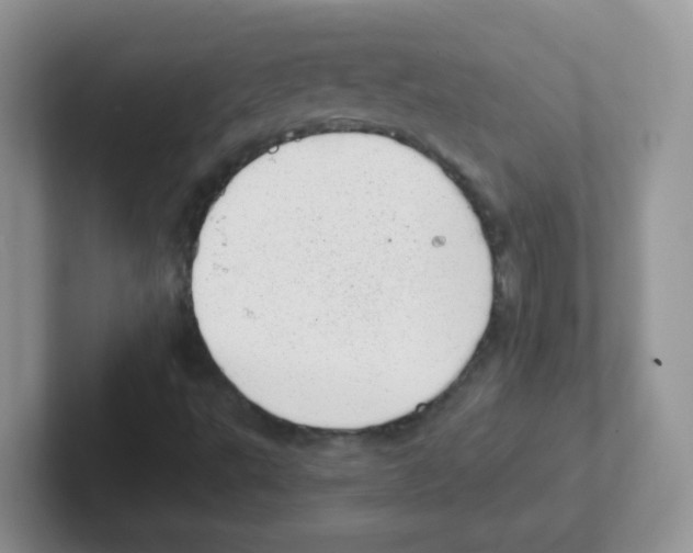 X0000101651495200808071103