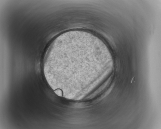 X0000101651497200808071103