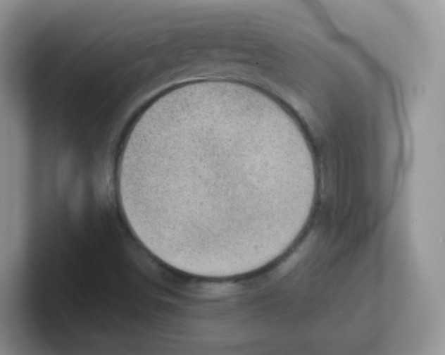 X0000101651498200808071103