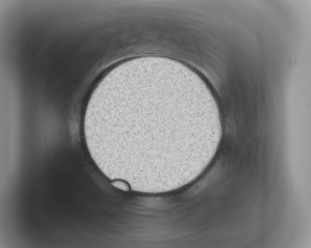 X0000101651499200808071103