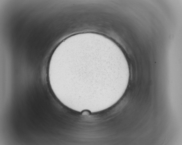 X0000101651500200808071103