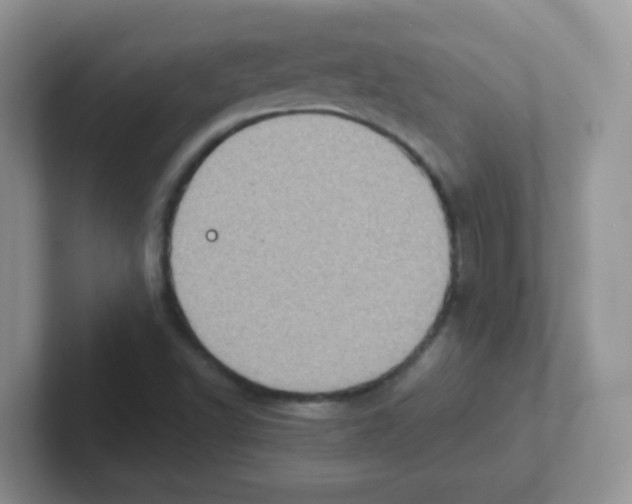 X0000101651502200808071103