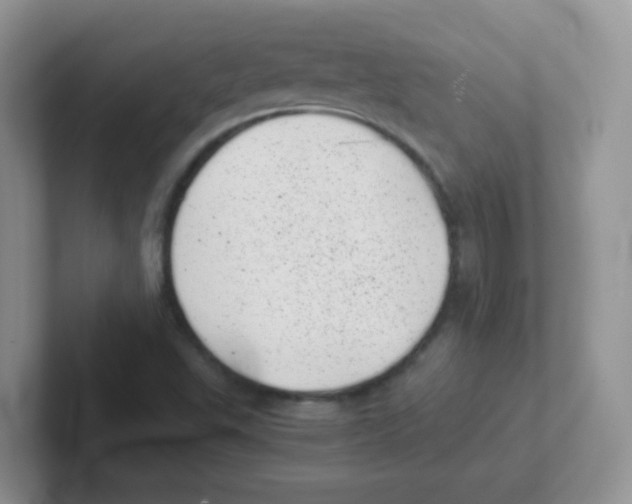 X0000101651503200808071103