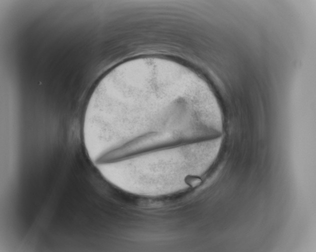 X0000101651505200808071103