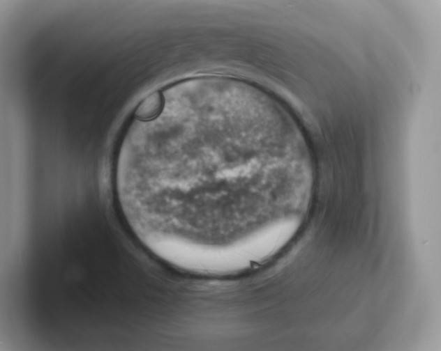 X0000101651506200808071103