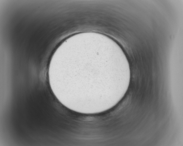 X0000101651507200808071103