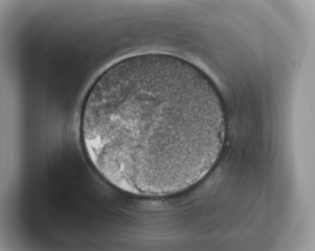 X0000101651508200808071103