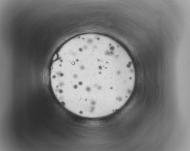 X0000101651509200808071103