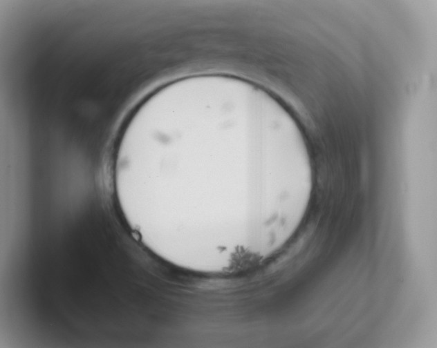 X0000101651510200808071103