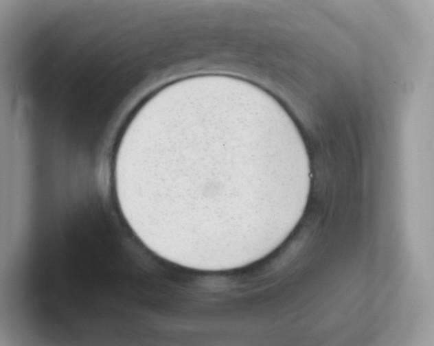 X0000101651511200808071103