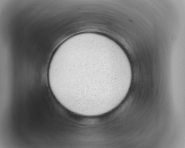 X0000101651513200808071103
