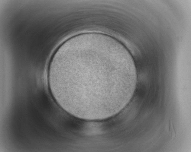 X0000101651514200808071103