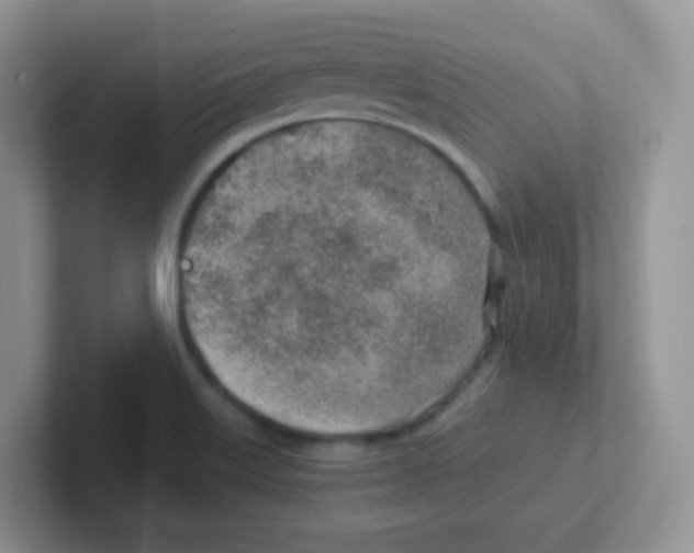 X0000101651515200808071103