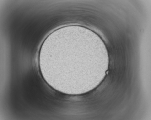 X0000101651516200808071103