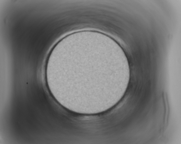 X0000101651518200808071103