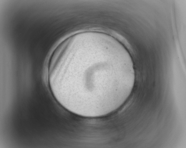 X0000101651520200808071103