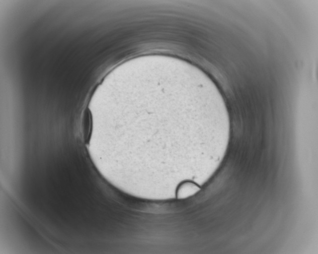 X0000101651521200808071103