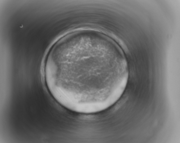 X0000101651522200808071103