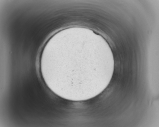 X0000101651523200808071103