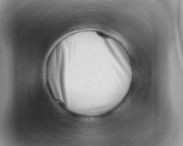 X0000101651524200808071103