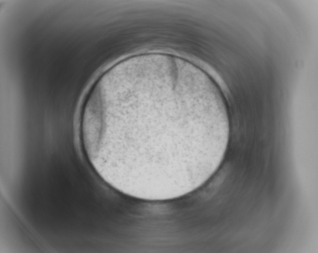 X0000101651525200808071103