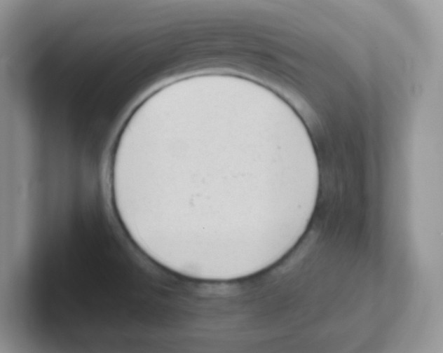 X0000101651526200808071104