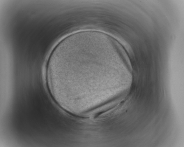 X0000101651527200808071104