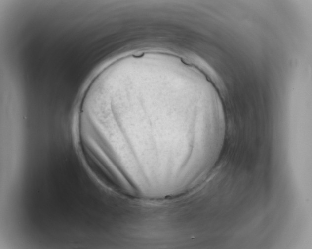 X0000101651528200808071104