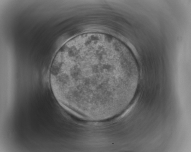 X0000101651529200808071104