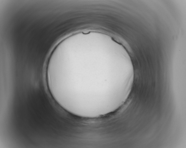 X0000101651530200808071104