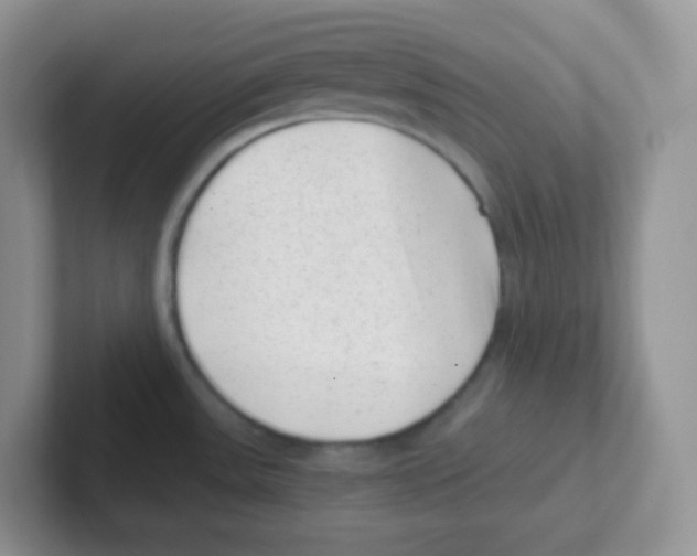 X0000101651531200808071104