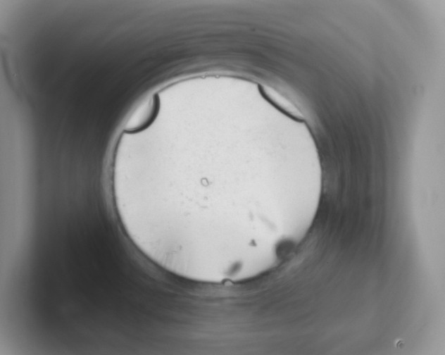 X0000101651532200808071104