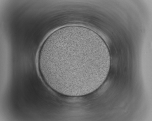 X0000101651533200808071104