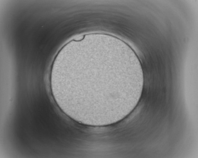 X0000101651534200808071104
