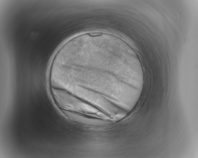 X0000101651536200808071104