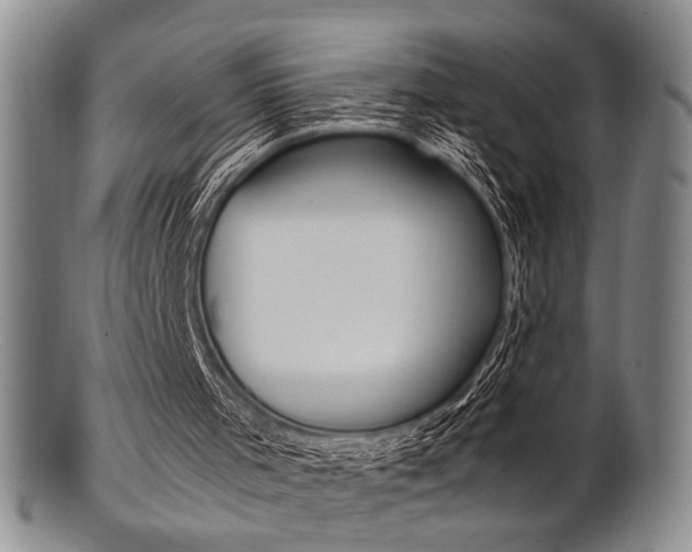 X0000101660001200807101036