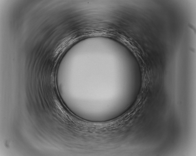 X0000101660002200807101036