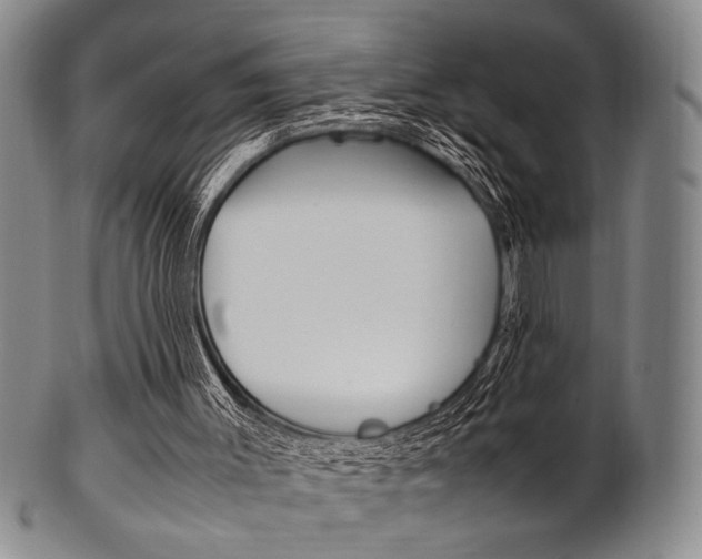 X0000101660003200807101036