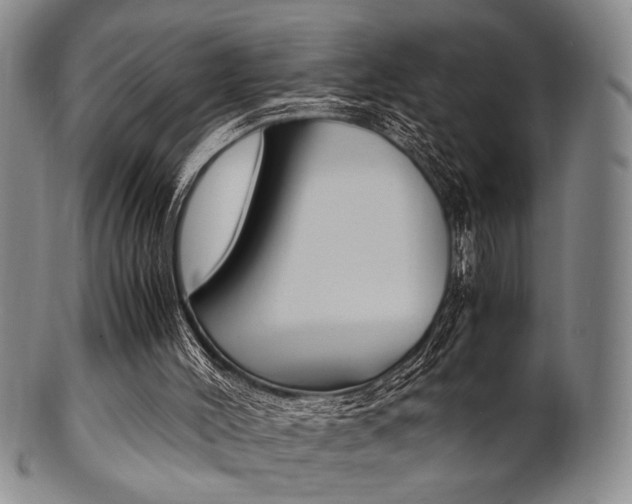 X0000101660004200807101036