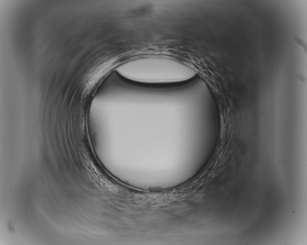 X0000101660005200807101036